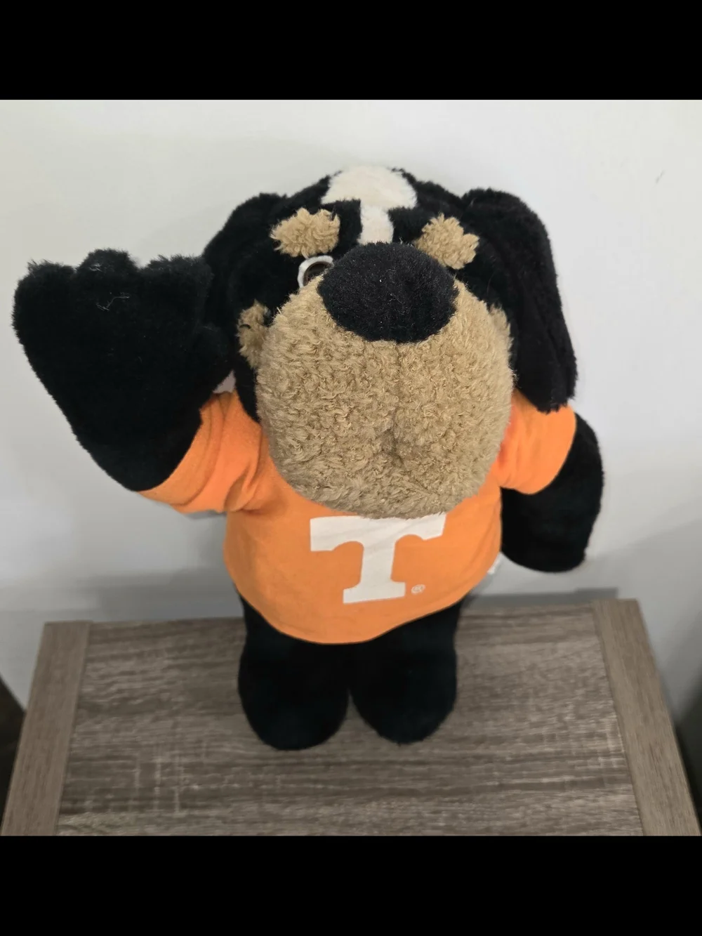 Toy Factory Tennessee Volunteers 14